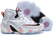 LeBron 13-036